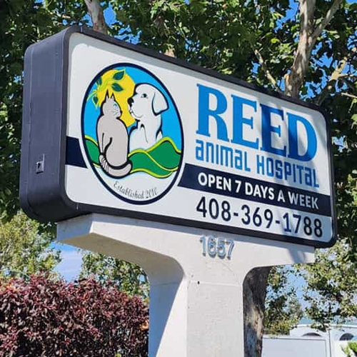Office/Store Signage